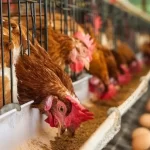 Svg+xml;charset=utf 8,%3Csvg%20xmlns%3D'http%3A%2F%2Fwww.w3