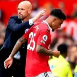 Svg+xml;charset=utf 8,%3Csvg%20xmlns%3D'http%3A%2F%2Fwww.w3