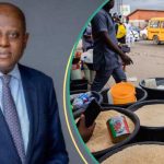 Prices of goods set to crash as CBN Lifts Restriction on 43 Items