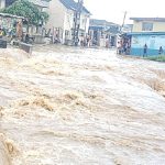 FG seeks stakeholders' collaboration to mitigate flooding