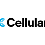 Cellulant Expands Operations into Egypt's Payments Sector (PHOTO: Financial IT)