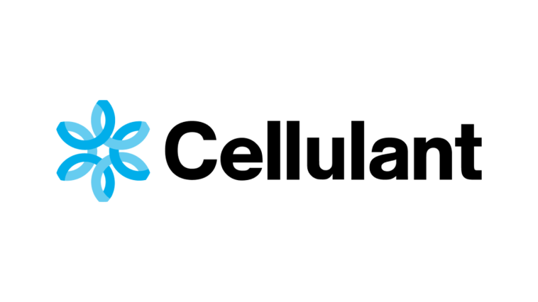 Cellulant Expands Operations into Egypt's Payments Sector (PHOTO: Financial IT)