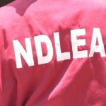 NDLEA arrests 417 suspects, secures 54 convictions in Oyo