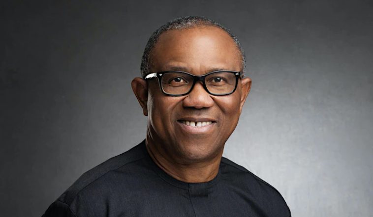 Peter Obi bemoans poor earnings by lecturers, says Professors now seek SA jobs