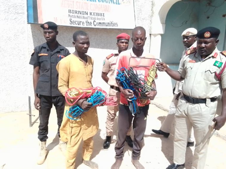 NHFSS eliminate bandits, recovers 74 rustle caws, arrests electricity cables vandals in Kebbi