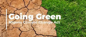 Climate Change: FG commits N60bn to green projects in 2024