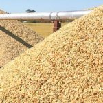 FG bagging 42,000mt of grains to distribute nationwide says Ministry