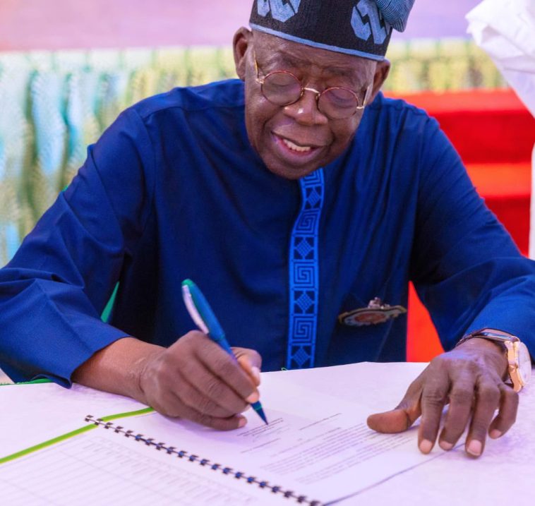Tinubu approves reconstitution of NELMCO Board, amends structure