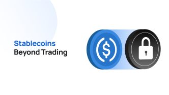 The Rise of "Stablecoin-as-a-Service": How Nigerian SMEs are Hedging Against Inflation