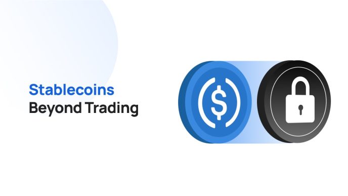 The Rise of "Stablecoin-as-a-Service": How Nigerian SMEs are Hedging Against Inflation